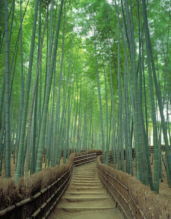 Copyright©Japan National Tourism Organization Copyright©Japan National Tourism Organization