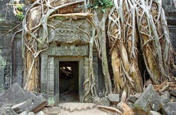 Siem Reap - Ta Prohm Siem Reap - Ta Prohm