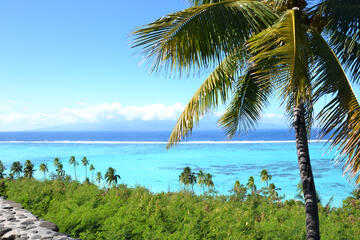 Tahiti Tourisme Tahiti Tourisme