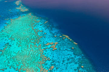 Tourism Port Douglas and Daintree Tourism Port Douglas and Daintree
