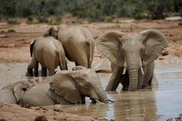 www.dein-suedafrika.de www.dein-suedafrika.de