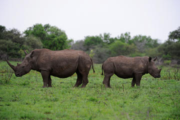 www.dein-suedafrika.de www.dein-suedafrika.de